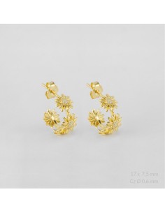 Pendientes de Plata de Ley